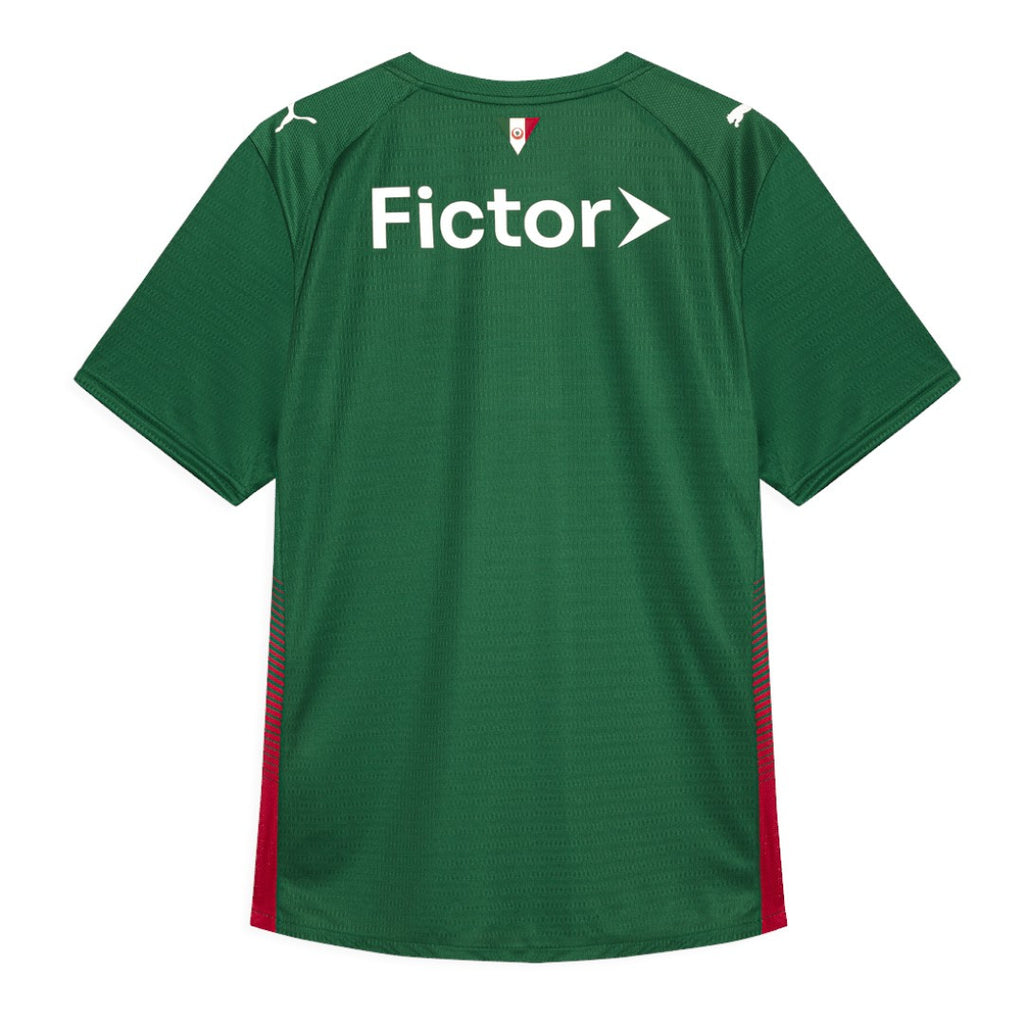 Palmeiras 26/27 Authentic Men's Home Shirt