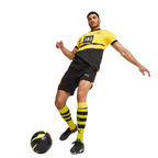 ADEYEMI #27 Borussia Dortmund 23/24 Authentic Men's Home Shirt