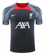 Liverpool 24/25 Men's Dark Gray Training Shirt