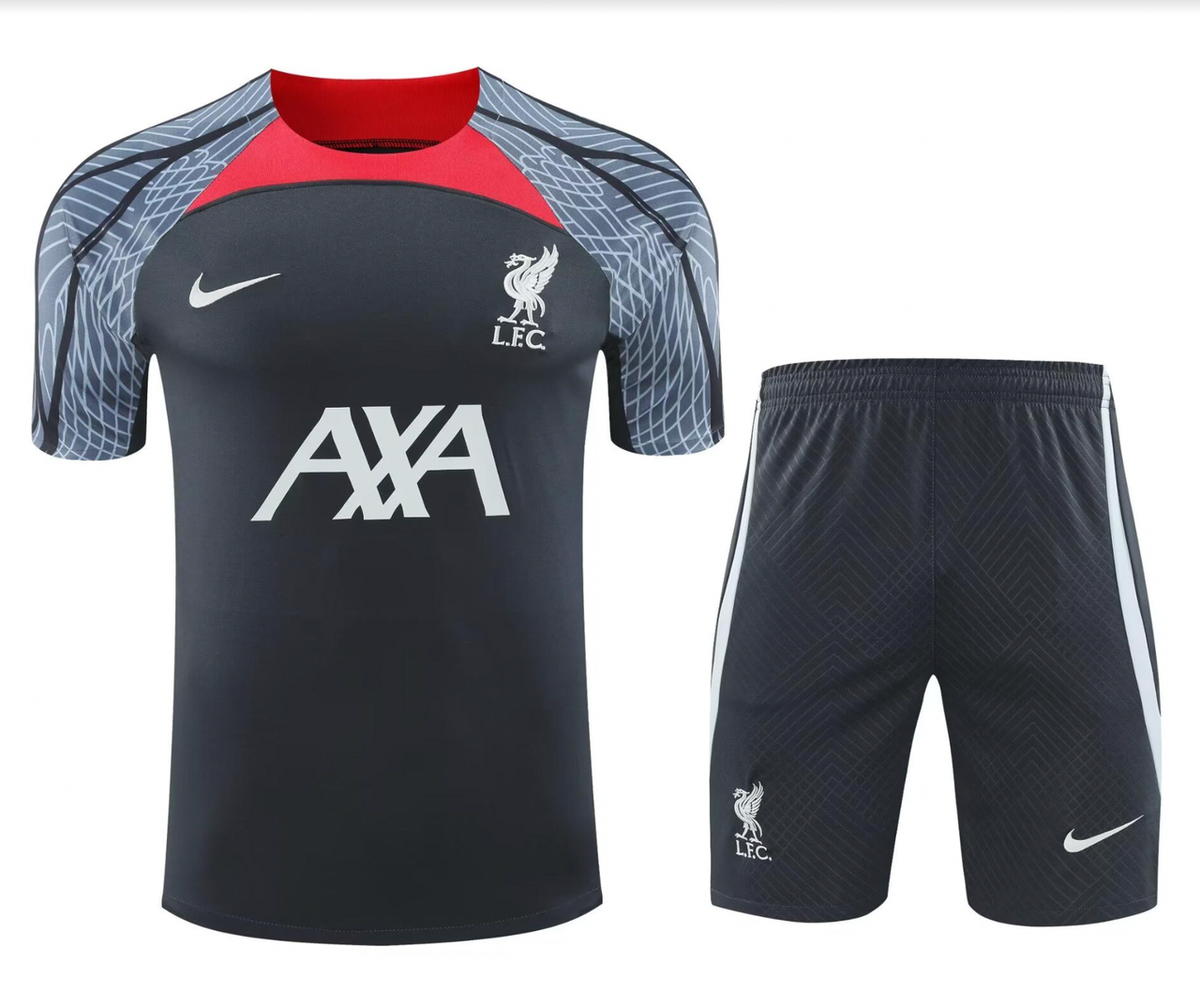 Liverpool 24/25 Men's Dark Gray Training Shirt