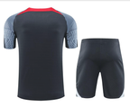Liverpool 24/25 Men's Dark Gray Training Shirt