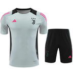 Juventus 24/25 Men's Gray Training Shirt