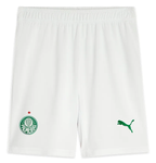 Palmeiras 25/26 Authentic Men's Home Shirt