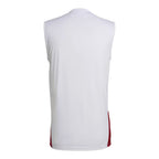 Germany 2026 Men's White Training Tank Top