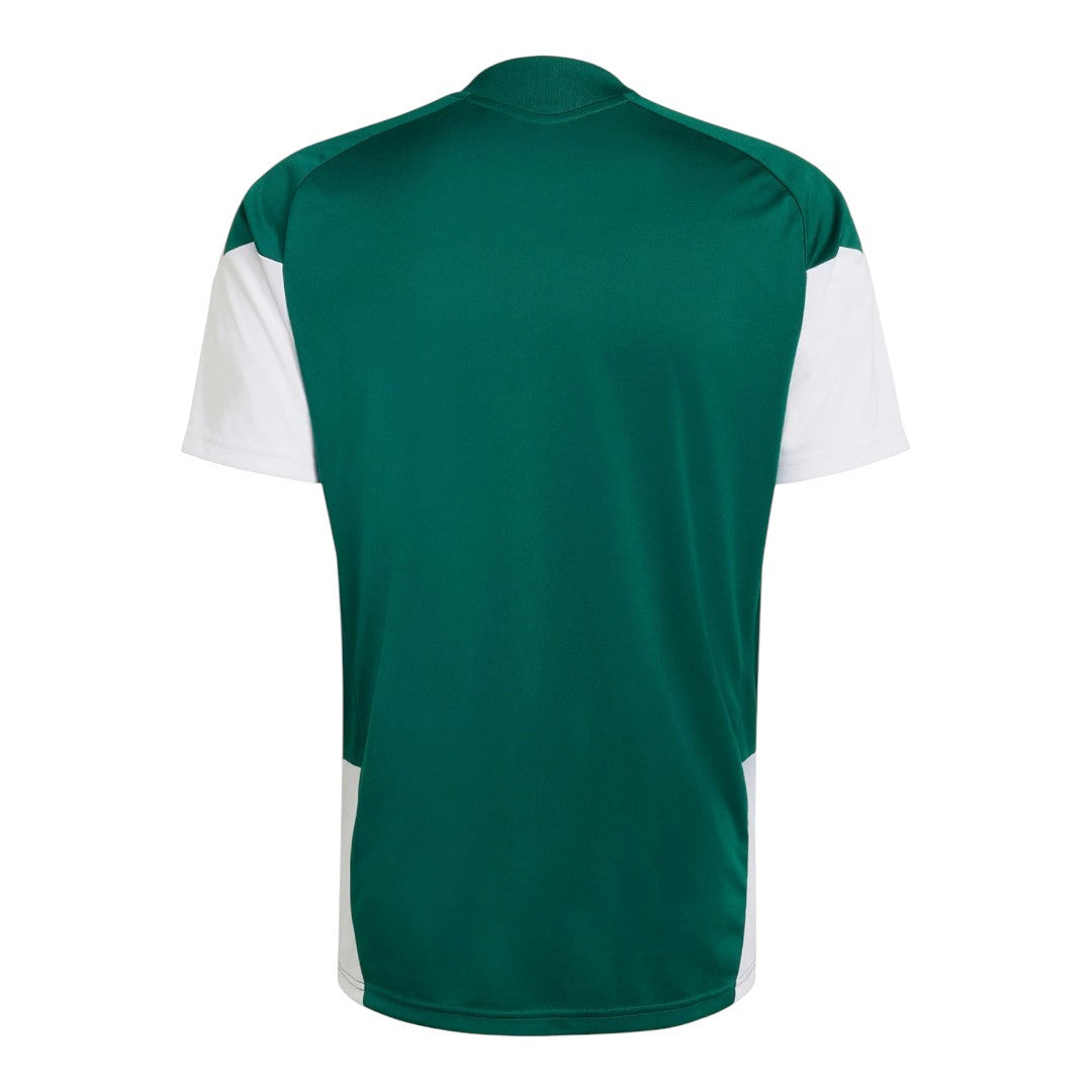 Italy 2026 Men's Green Training Shirt