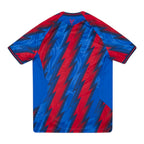 Crystal Palace 26/27 Stadium Men's Third Shirt